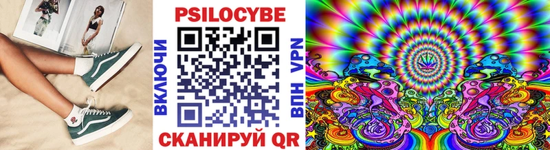 blacksprut ONION  Перевоз  Галлюциногенные грибы Psilocybine cubensis  цены  